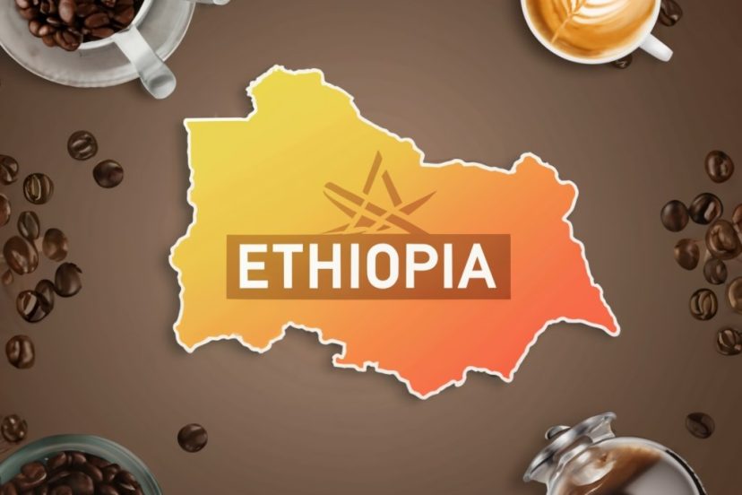 types of coffee ethiopia