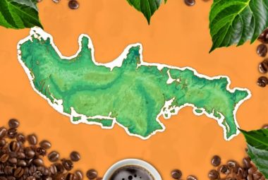 types of coffee indonesia