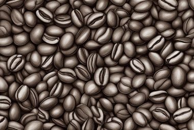 Arabica vs. Robusta